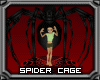 Spider Dance Cage