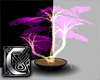 C - Plant v6 purple