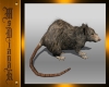 Animated Ghetto Rat