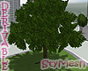City Tree Animated