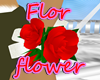 Flor/Flower red & White