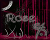 Rose Single Chair
