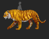 ☢ Ani Tiger Gold