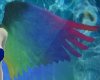 Rainbow wings #1