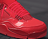 金 Red Shoes. s/b