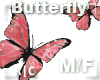 R|C Pink Butterfly M/F