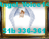 Angel_Voice14