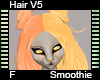 Smoothie Hair F V5