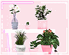 ♔ Furn ♥ Plant Stand