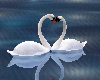 Wedding Swans