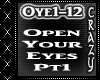 DiscoFries-OpenYourEyep1