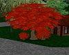 Autumn Tree V2