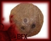 BFX Whole Coconut