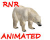 ~RnR~POLAR BEAR BUDDY