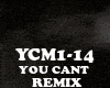 REMIX-YOU CANT CHANGE