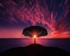 wallpaper_4