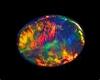 flaming opal