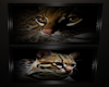 Ocelot Picture Frames