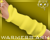 WarmersA Yellow F2a Ⓚ