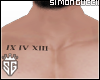SG. IX IV Xlll Tatto ReM