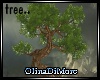 (OD) Old Moorian tree