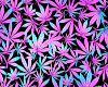 Top Weed + Tattoo