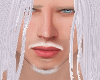 BIGOTE Y BARBA BLANCA