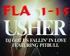 DJ got us fallin in love