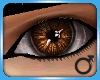 Gleam eyes - Amber
