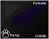 [Pets] Fayr 2.0 | claws