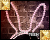 TEEN Easter Bunny Ears