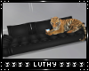 |L| Black Tiger Sofa