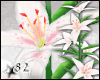 *82 Lily- 5 Bloom White