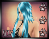 XCLX Drac Hair Blu F V2