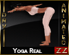 zZ Yoga Real Animated