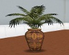 Navajo Vase and Plant