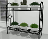 Potted Plants