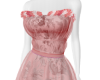 Pink Transparent Gown