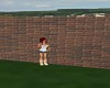 KL Brick Wall 1