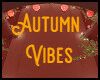 Autumn Vibes 🍂