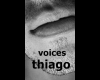 voices thi13