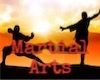 Martial Arts 3,1