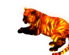 [Mae] Tiger Lava w Poses