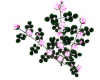 Pink Glow Rose Bush