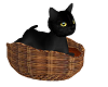 black cat anim.