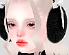 ® Earmuffs Black