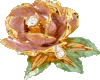 Ali-Gold rose