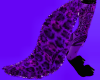 Passionate Purple Tail