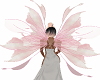 Pink Fairy Wings**