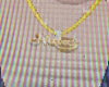 Nala Rose Gold Necklace